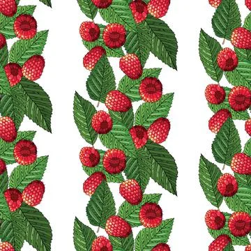 Seamless summer pattern with ripe raspberries and leaves. Vector illustration Stock Illustration