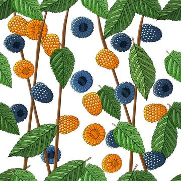 Seamless summer pattern with ripe raspberries and leaves. Vector illustration Stock Illustration