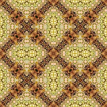 Seamless symmetrical pattern. The texture is abstract. Abstract endless sym.. イラスト素材
