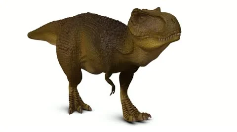 Animate Running Dinosaur Tyrannosaurus Rex 3d Stock Footage Video (100%  Royalty-free) 1012228994