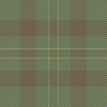 This seamless tartan pattern features an earthy green plaid design, perfect f Stock Illustration