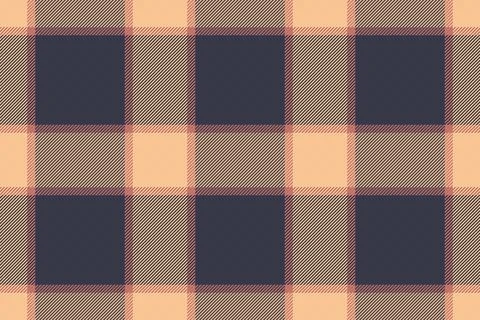 A seamless tartan plaid pattern featuring classic navy and warm beige tones.  Stock Illustration