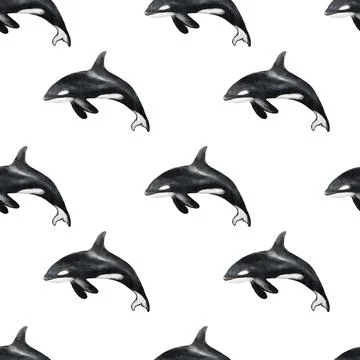 Seamless textile design featuring playful whales and seals on a crisp backg.. Stock Illustration