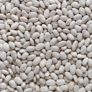 Seamless texture of background of white beans. Stock Photos