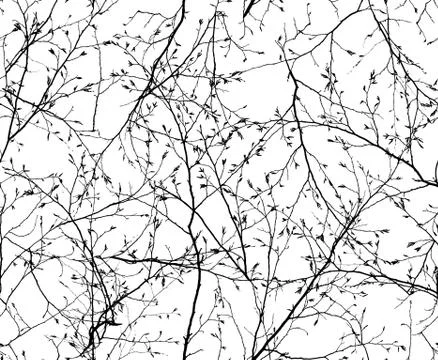 Seamless texture of the branches Stock Photos