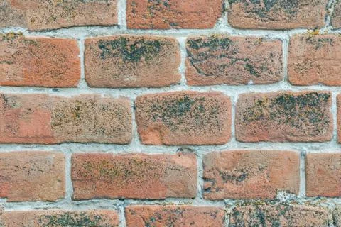 Seamless texture brick wall of red old brick Stock Photos