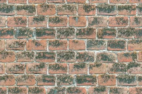 Seamless texture brick wall of red old brick Stock Photos