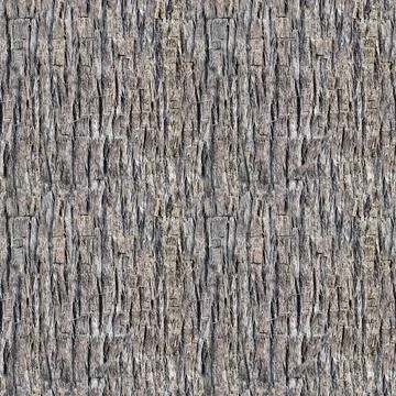 Seamless texture of brown palm tree bark. 4 fragments in 1 Stock Photos