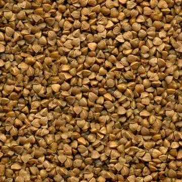 Seamless texture of buckwheat Stock Photos