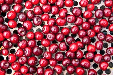 Seamless texture of cherries Stock Photos