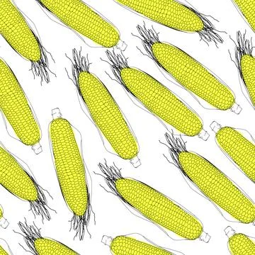 Seamless texture with corn isolated on a white background. Outline of detaile Stock Illustration