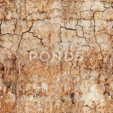 Seamless texture - cracked clay ground Stock Photos