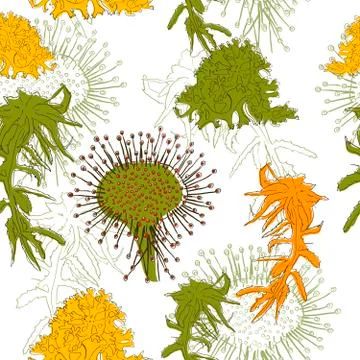 Seamless texture in eco style. Illustration