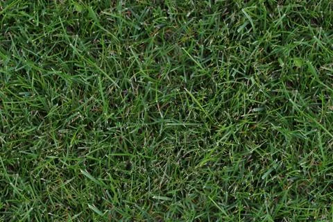 Seamless Texture - Grass 002 Stock Photos