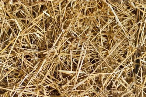 Seamless texture hay background Stock Photos