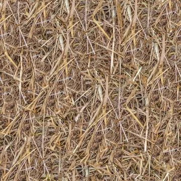 Seamless texture hay background Stock Photos
