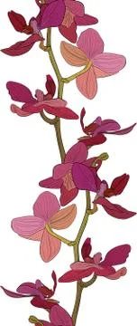 Seamless texture Stock Illustration