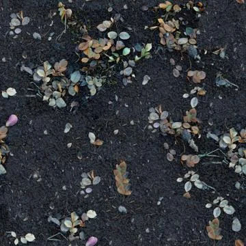 Seamless texture of leaves on the soil Stock-Fotos