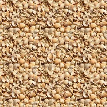 Seamless texture of light seashells on the sand. Stock Photos