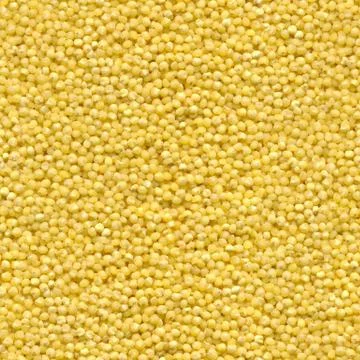 Seamless texture of millet grains Stock Photos