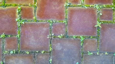 Seamless texture of old environmentally friendly blocks with green grass growing 스톡 사진