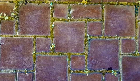 Seamless texture of old environmentally friendly blocks with green grass growing 写真素材