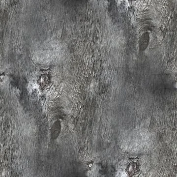 Seamless texture oldest tree context rings Photos