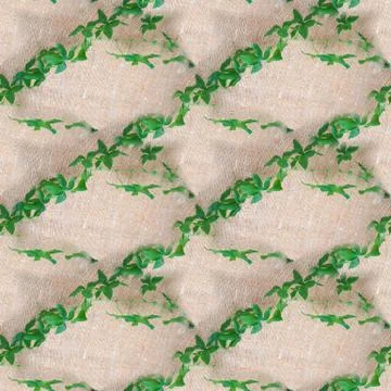 Seamless texture from the photo, endless pattern. Square. Branches of green i Stock Photos