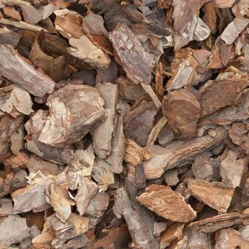 Seamless texture pine chips close up. Stock Photos