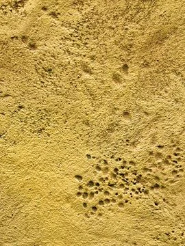 Seamless texture of plaster on the wall. The pattern is yellow with differe.. Stock Photos