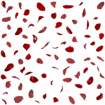 Seamless texture of red rose petals Stock Illustration
