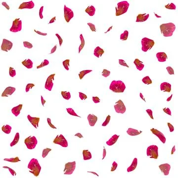 Seamless texture of red rose petals Stock Illustration