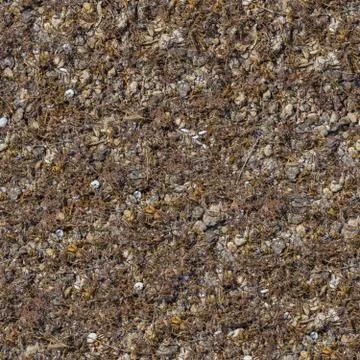 Seamless Texture of Rocky Soil. Stock Photos