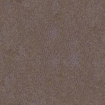 Seamless texture of a skin Stock Photos