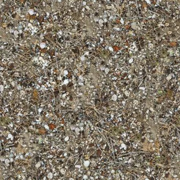 Seamless Texture of Soil Post-apocalyptic Period. Stock Photos