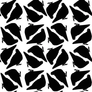The seamless texture on the square background - pigeons. Silhouette Bird Illustrazione stock