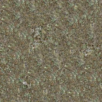 Seamless Texture of Steppe Soil. Stock Photos