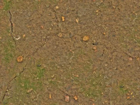 Seamless texture of wet ground Stock Photos