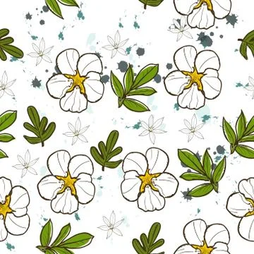 Seamless texture with white flower. Stock Illustration