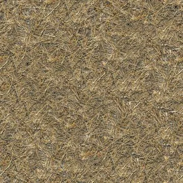 Seamless Texture of  Withered Grass. Stock Photos