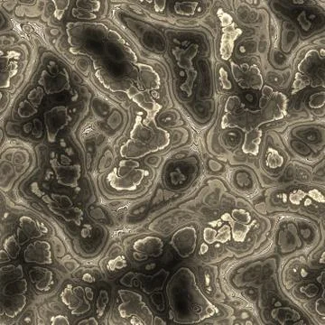 Seamless  tissue section pattern Stock Illustration