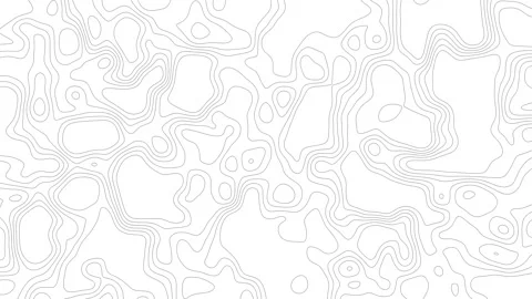 Seamless Topographic Background With Fluid Motion Stock Footage 319219062