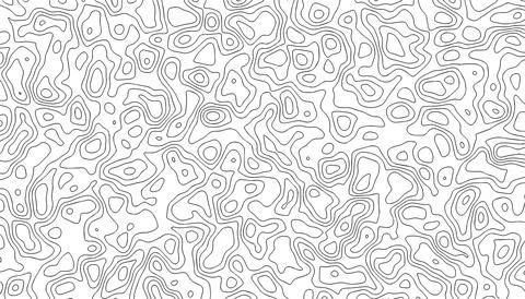 Seamless topographic thin line pattern on white. Stock Illustration