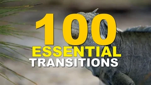 Seamless Transition - Essential Package Stock After Effects