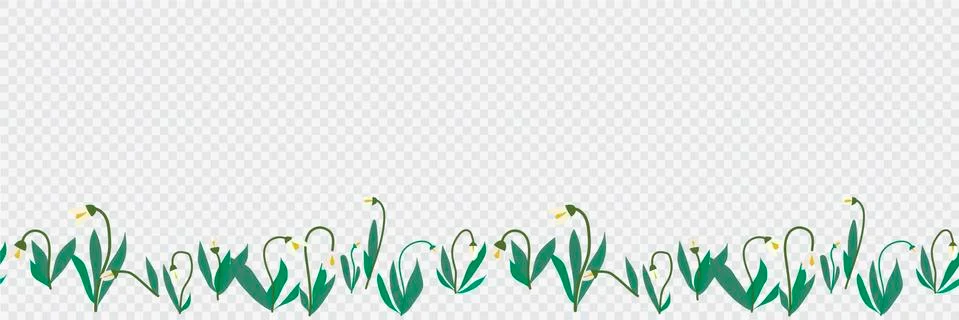 Seamless transparent vector border of hand drawn spring snowdrops flowers Stock Illustration