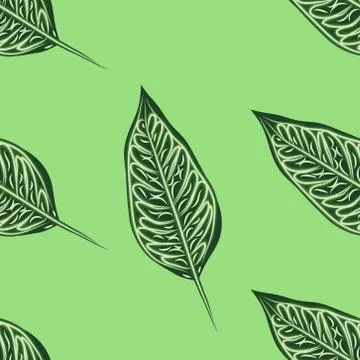 Seamless tropical Ficus Elastica pattern on light background. Exotic print. V 스톡 일러스트