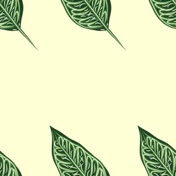 Seamless tropical Ficus Elastica pattern on light background. Exotic print. V 스톡 일러스트