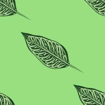 Seamless tropical Ficus Elastica pattern on light background. Exotic print. V 스톡 일러스트