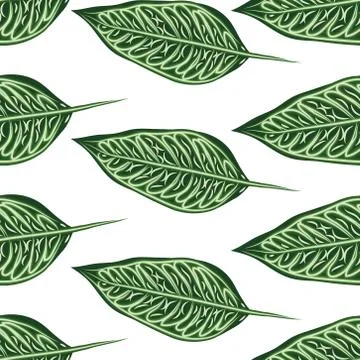Seamless tropical Ficus Elastica pattern on light background. Exotic print. V 스톡 일러스트