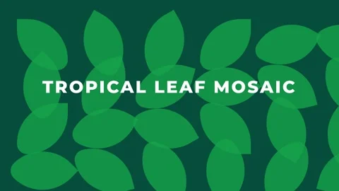 Seamless tropical leaf mosaic background pattern for jungle print design Video stock 337655558